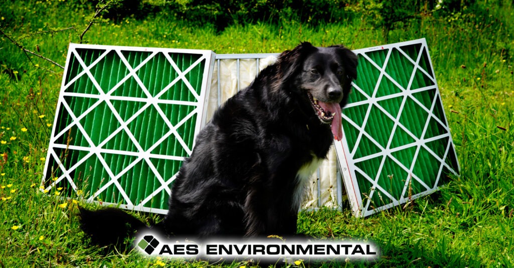 Clemmie, a large black dog, sitting in grass in front of three clean HVAC air filters — two green coarse-grade panel filters and one yellow ePM1 80% filter — with AES Environmental branding in the foreground